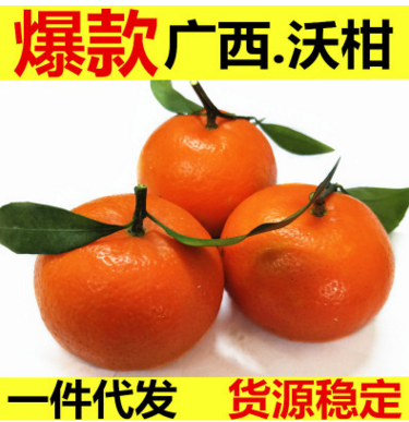 广西特产沃柑5斤装包邮一件代发新鲜水果产地直供皇帝柑丑柑