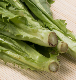 新鲜有机蔬菜绿色无公害油麦菜火锅麻辣烫配菜莜麦菜阳台盆栽图2