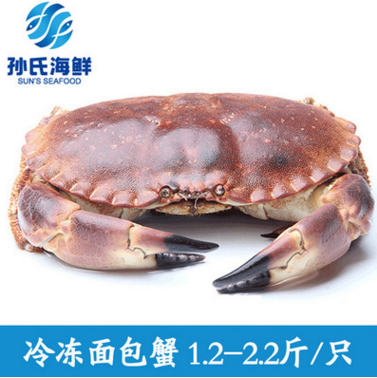 孙氏海鲜冷冻面包蟹 满膏螃蟹1.2-2.2斤/只 酒店专供海鲜黄金蟹