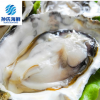韩国进口生蚝 鲜活生蚝牡蛎100g/粒 天然美味水产海鲜贝类