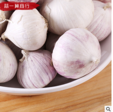 云南下关优质新鲜独蒜大蒜头干蒜出口独蒜配料餐饮1件70斤批发图2