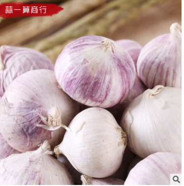 云南下关优质新鲜独蒜大蒜头干蒜出口独蒜配料餐饮1件70斤批发图3