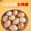 散养土鸡蛋批发佛山农场批发新鲜土鸡蛋礼盒装50枚一箱净重5斤