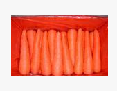 长期大量供应次品胡萝卜
