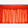 长期大量供应次品胡萝卜