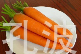 大量供应胡萝卜次品图2