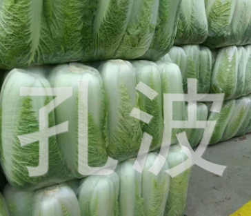 厂家推荐 北京新三号大白菜 量大从优 山东白菜 新鲜图2