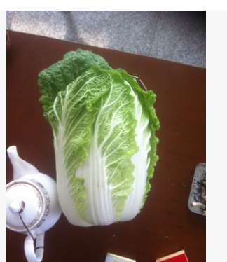 黄心白菜种植 黄心小白菜出售 小颗白菜玲珑黄012图3