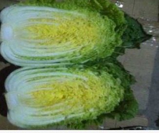 河北保鲜蔬菜出口加工厂图2