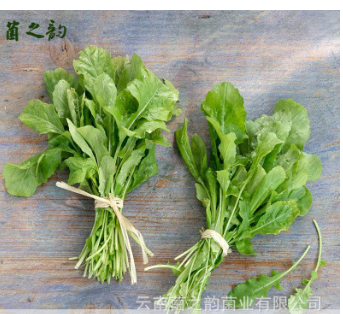 生鲜有机食品新鲜蔬菜 安全天然无公害野菜叶菜 新鲜野生芝麻菜图3