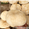 云南特产食疗养胃猴头菇 非干货生鲜食用菌菇 厂家直销新鲜猴头菇