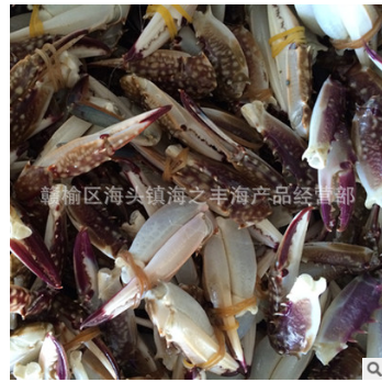 全国供应海鲜批发零售 蟹脚 蟹腿 蟹钳辣炒蟹钳饭店梭子蟹蟹脚图2