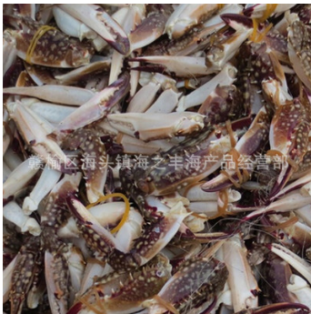 全国供应海鲜批发零售 蟹脚 蟹腿 蟹钳辣炒蟹钳饭店梭子蟹蟹脚图3