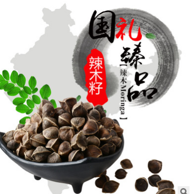 特级辣木籽 辣木子天然精选辣木种子一件代发 辣木图2