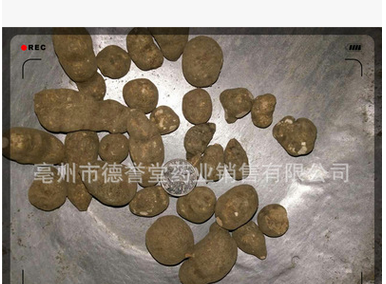 dyt-56 三叶青 石猴子个 金线吊葫芦 德誉堂药业批发各种中药材图2