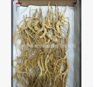 dyt-80长白山移山参 山参 林下参 正品林下山参 老山参图2