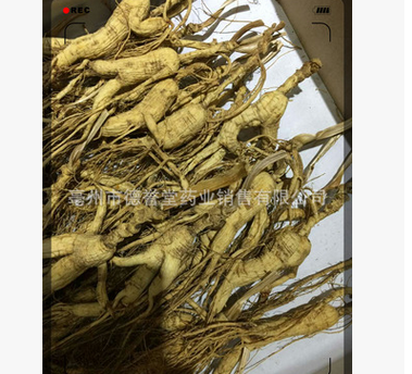 dyt-80长白山移山参 山参 林下参 正品林下山参 老山参图3