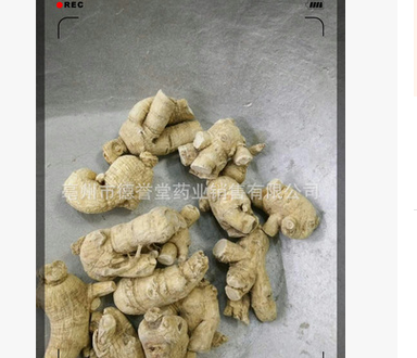 dyt-141东北长白山西洋参 粒头 花旗参德誉堂药业批发各种中药材图3