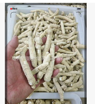 dyt-143西洋参统货 德誉堂西洋参批发 花旗参统货 量大从优图3