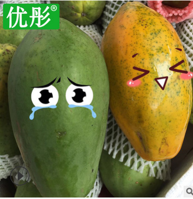 优彤当季木瓜海南新鲜水果冰糖心红心木瓜生鲜水果青皮木瓜9斤包 一件代发 举报图2