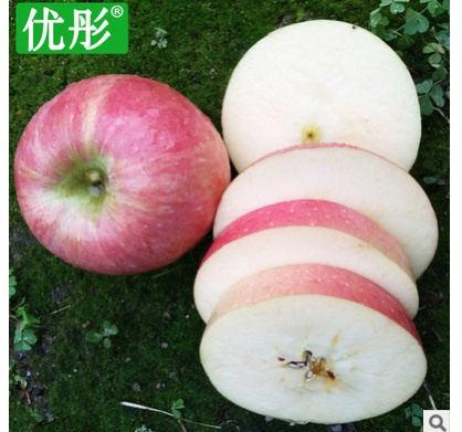 陕西一级苹果洛川红富士新鲜水果脆甜多汁水果批发微商一件代发图2