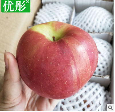 陕西一级苹果洛川红富士新鲜水果脆甜多汁水果批发微商一件代发图3