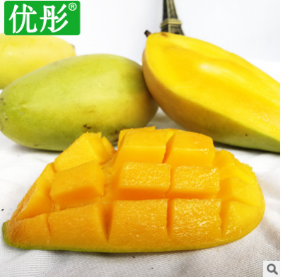 优彤越南玉芒一级果青皮芒果青芒新鲜水果批发微商代发一件包邮图3