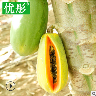 优彤当季木瓜海南新鲜水果冰糖心红心木瓜生鲜水果青皮木瓜8斤图2