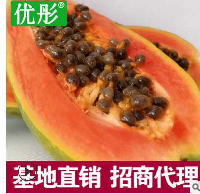 优彤当季木瓜海南新鲜水果冰糖心红心木瓜生鲜水果青皮木瓜5斤图2