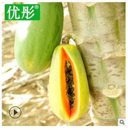 优彤当季木瓜海南新鲜水果冰糖心红心木瓜生鲜水果青皮木瓜5斤图3