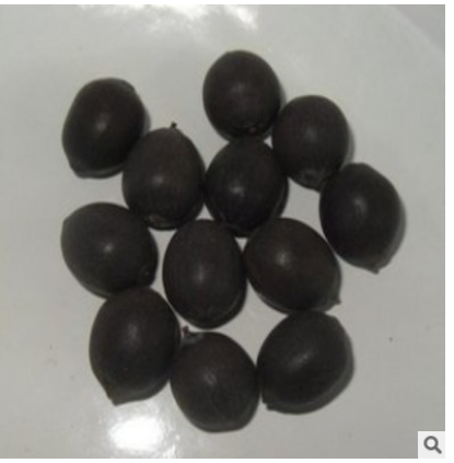 供应湖南湘潭莲子 寸三莲丨产地直销带壳湘莲丨现货批发碗莲种子图3
