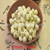 批发一级去芯磨皮白莲子 通芯白莲子 湘莲 湘莲原产地