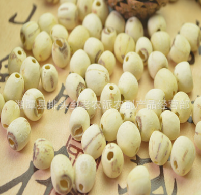 批发一级去芯磨皮白莲子 通芯白莲子 湘莲 湘莲原产地图2