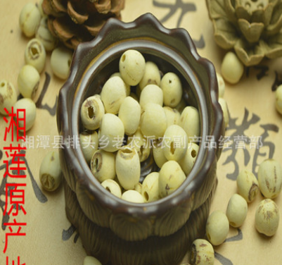 批发一级去芯磨皮白莲子 通芯白莲子 湘莲 湘莲原产地图3