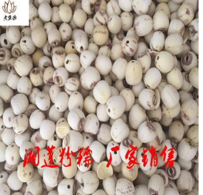 二级莲子湘潭莲子干货 白莲子 湘莲 机械去芯率90%左右 无硫 粉糯