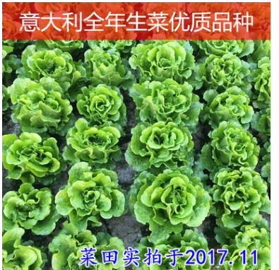 微信截图_20180413173740