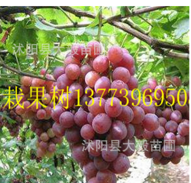微信截图_20180413174625