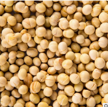 低温烘焙熟黄豆五谷杂粮豆浆豆芽豆腐原料养生粉营养餐图2