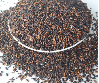 千年客家黑糯米500g 血米农家米粗粮五谷杂粮图3
