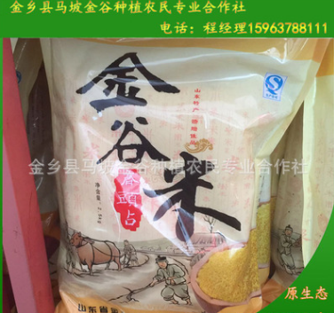 厂家供应黄金谷小米 山东金乡马坡天然优质小米 品种齐全优惠图2