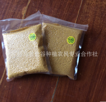 金谷小米贡米 黄小米五谷杂粮精品礼品山东金乡特产图3