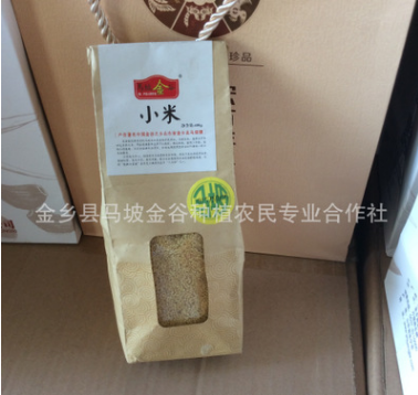 小黄米 山东农家有机小黄米 金谷小黄米图2