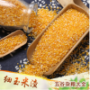 黄玉米渣 玉米碎 玉米碴子五谷杂粮农家自产新玉米糁玉米碴