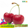 智利红樱桃2磅果径26-28mm 智利空运车厘子 樱桃