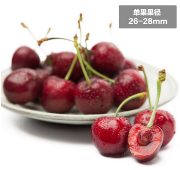 智利红樱桃2磅果径26-28mm 智利空运车厘子 樱桃图2