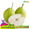 【易果生鲜】新疆库尔勒精选香梨4kg100g以上/个新鲜水果一件代发