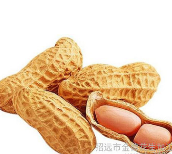 供应 供慧聪优质供应商 招远市金德花生加工厂传统分机花生米图3