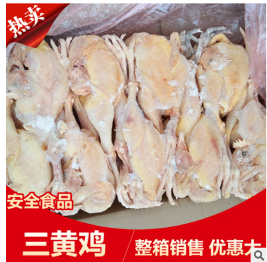 三黄鸡 冷冻三黄鸡 简单加工 量大价优 白条鸡 熟食 鸡肉图2