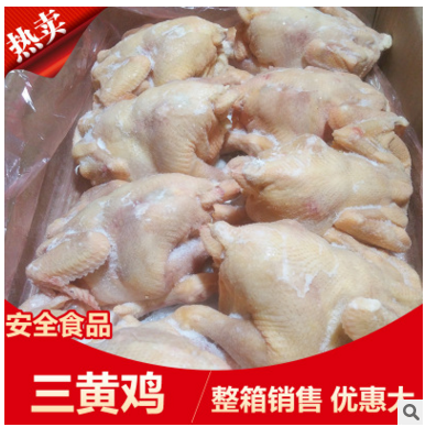 三黄鸡 冷冻三黄鸡 简单加工 量大价优 白条鸡 熟食 鸡肉图3