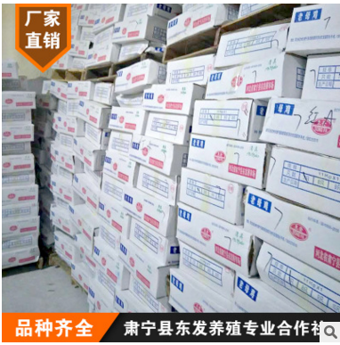 批新鲜冷冻优质老母鸡 土鸡 整白条鸡 净36斤/箱图2